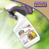imageBonide Captain Jacks Tomato ampamp Vegetable Spray 32 oz ReadytoUse Spray Insect ampamp Disease Control for Organic Gardening32 oz Pack of 2