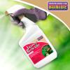 imageBonide Japanese Beetle Killer ReadytoUse Spray 32 oz Indoor Outdoor Insecticide for Residential Use Kills by ContactSpray