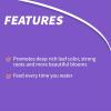 imageBonide Liquid Orchid Food 979 8 oz Concentrate Liquid Fertilizer for Strong Roots ampamp Blooms Use When Watering8 oz Pack of 5