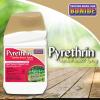 imageBonide Pyrethrin Garden Insect Spray Concentrate 16 oz ReadytoMix Fast Acting Insecticide for Outdoor Garden Use