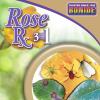 imageBonide Rose Rx MultiPurpose Fungicide Insecticide and Miticide 16 oz Concentrated Solution for Organic Gardening
