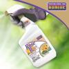 imageBonide Rose Rx MultiPurpose Fungicide Insecticide and Miticide 32 oz ReadytoUse Spray For Organic Gardening32 oz