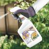 imageBonide Rose Rx MultiPurpose Fungicide Insecticide and Miticide 32 oz ReadytoUse Spray For Organic Gardening32 oz Pack of 2