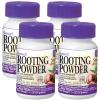 imageBonide Bontone II Rooting Powder 125 oz ReadytoUse Dust for Houseplants and Transplants Speeds Root Development125 oz Pack of 4