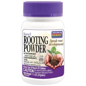 imageBonide Bontone II Rooting Powder 125 oz ReadytoUse Dust for Houseplants and Transplants Speeds Root Development125 oz