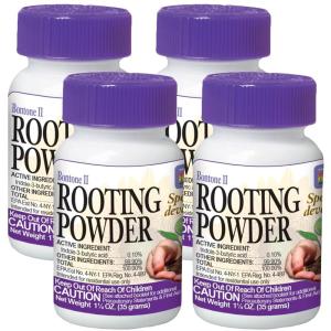 imageBonide Bontone II Rooting Powder 125 oz ReadytoUse Dust for Houseplants and Transplants Speeds Root Development125 oz Pack of 4
