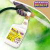 imageBonide RepelsAll Animal Repellent 128 oz Concentrate for Outdoor Pest Control Deter Deer from Garden People ampamp Pet Safe32 Ounce Pack of 1