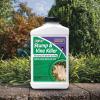 imageBonide 2746 Stump ampamp Vine Killer Concentrate 8 oz Stumps and Vines Without harming Turf Contains Brush Easy Application Kills Oak Poison Ivy and More 11