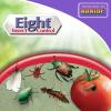 imageBonide Eight Insect Control Garden Dust 10 oz ReadytoUse Insect ampamp Mite Killer for Outdoor Garden Long Lasting InsecticideDust
