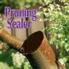 imageBonide Garden Rich Pruning Sealer with Brush Top Applicator 16 oz ReadytoUse Protective Seal for Trees Shrubs Roses16 oz