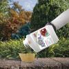 imageBonide Captain Jacks Rose Rx 4in1 Insect ampamp Disease Control 16 oz Concentrate Neem Oil for Organic Gardening
