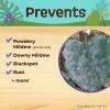 imageBonide Captain Jacks Rose Rx 4in1 Insect ampamp Disease Control 16 oz Concentrate Neem Oil for Organic Gardening