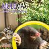 imageBonide MOLEMAX Mole ampamp Vole Repellent Granules 10 lbs ReadytoUse Outdoor Lawn ampamp Garden Mole Control People ampamp Pet SafeGranules