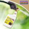 imageBonide MOLEMAX Mole ampamp Vole Repellent 32 oz ReadytoSpray Animal Repellent for Gardens People and Pet Safe