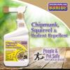 imageBonide Chipmunk Squirrel ampamp Rodent Repellent 32 oz ReadytoSpray for Outdoor Use Deter from Lawn ampamp Garden