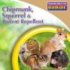 imageBonide Chipmunk Squirrel ampamp Rodent Repellent 32 oz ReadytoSpray for Outdoor Use Deter from Lawn ampamp Garden