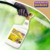 imageBonide Chipmunk Squirrel ampamp Rodent Repellent 32 oz ReadytoSpray for Outdoor Use Deter from Lawn ampamp Garden