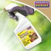 imageBonide Go Away Deer ampamp Rabbit Repellent 32 oz ReadytoUse Spray Hot Peppers Deter Animals from Lawn ampamp Garden32 Ounce Pack of 1