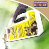 imageBonide MOLEMAX Mole ampamp Vole Repellent Granules 5 lbs ReadytoUse Outdoor Lawn ampamp Garden Mole Control People ampamp Pet Safe5Lbs